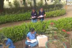 Study Through Research